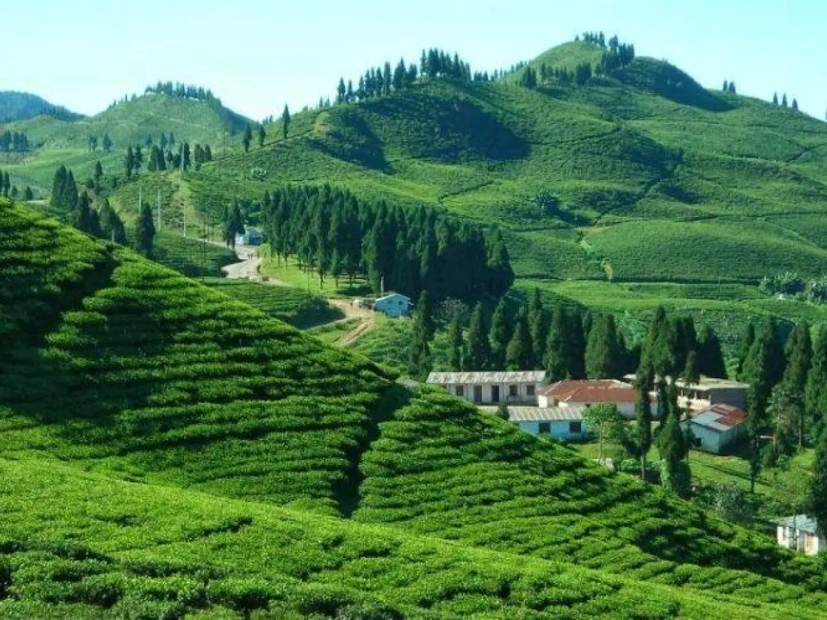 Notary & Translation Service in Jhapa, Nepal