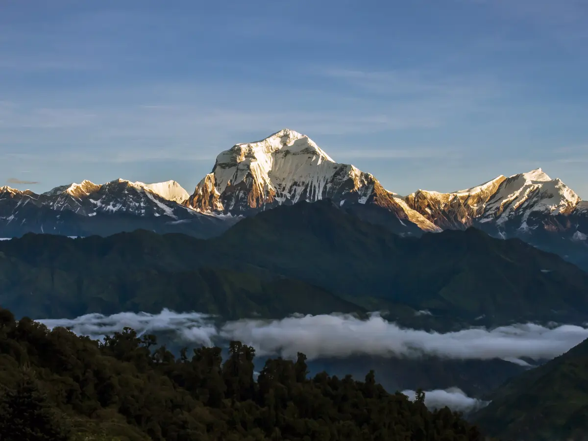 Trusted Notary and Translation Services in Myagdi, Nepal