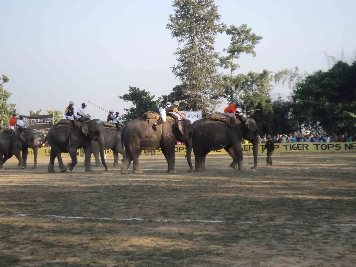 Online Notary and Translation Services in Chitwan