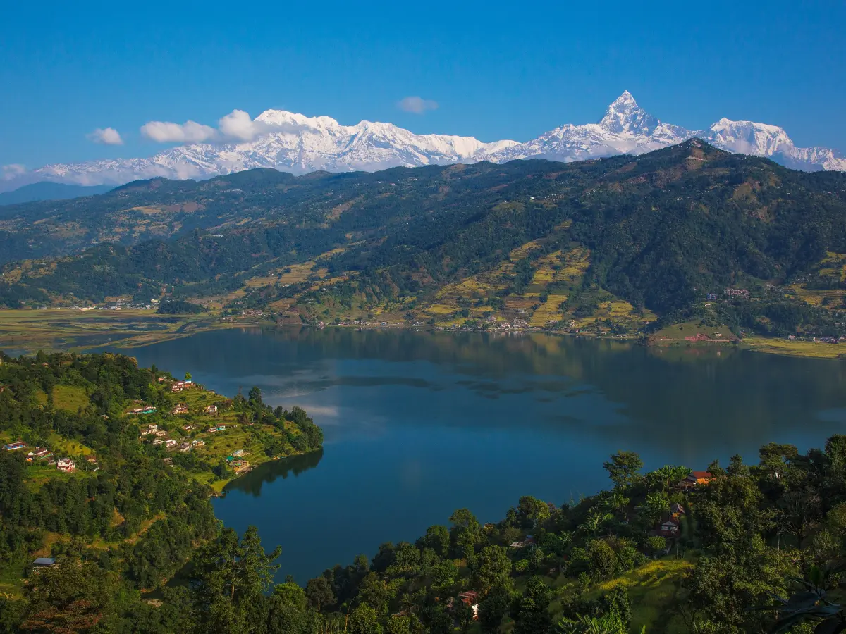 Notary and Translation Services in Kaski