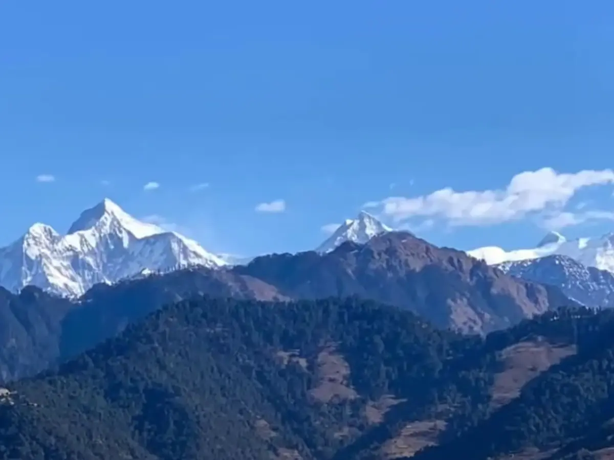 Online Notary and Translation Services in Eastern Rukum