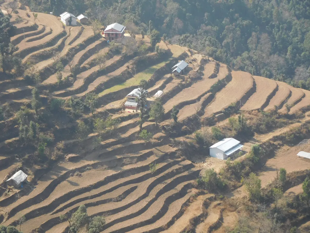 Online Notary and Translation Services in Dailekh
