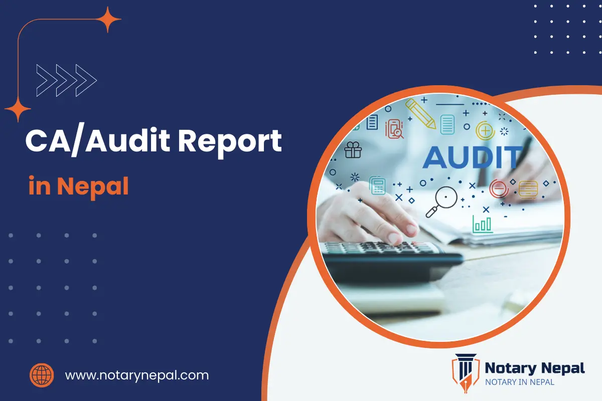 CA/Audit Report (Assitance)