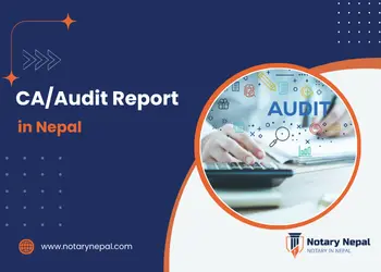 CA/Audit Report (Assitance)