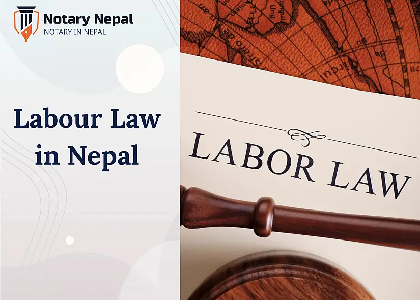 Labour Law in Nepal: Rights, Regulations, and Workplace Policies