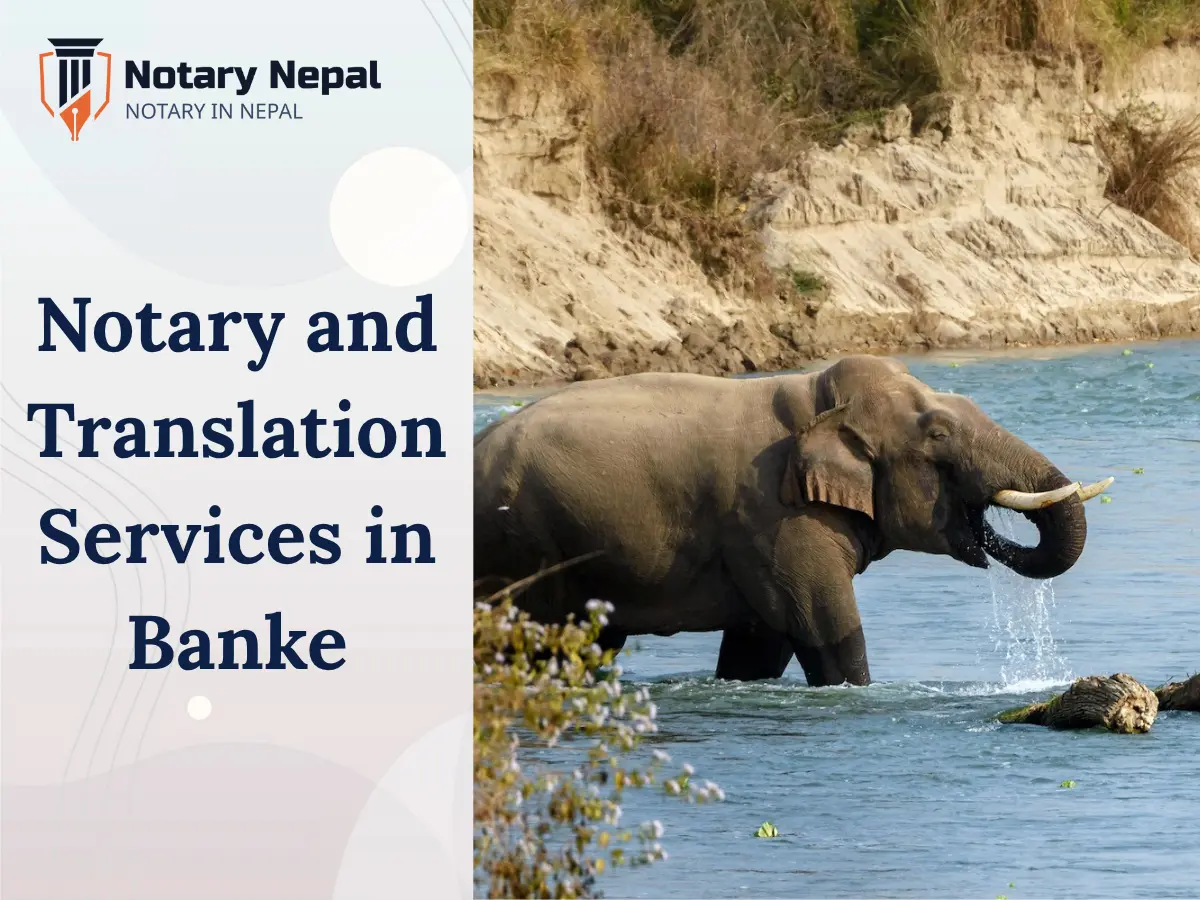 Online Notary and Translation Services in Banke