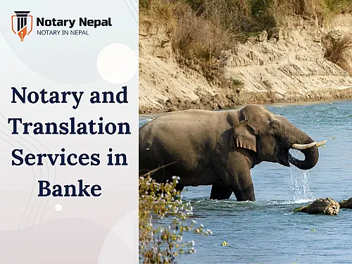 Online Notary and Translation Services in Banke
