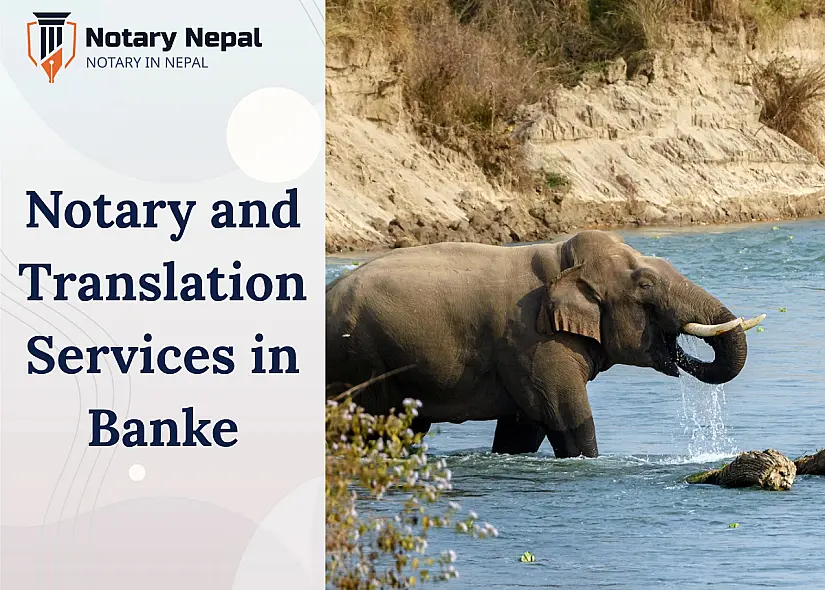 Online Notary and Translation Services in Banke